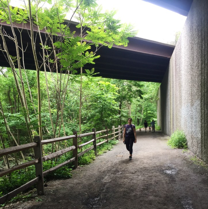 8F11917A-F4A6-4130-B217-7E9B73C28A4D